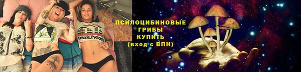 синтетический гашиш Алексеевка