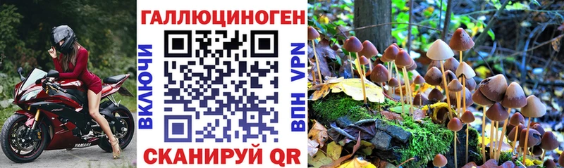 МЕГА маркетплейс  Томск  Псилоцибиновые грибы Cubensis 