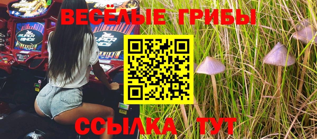 Галлюциногенные грибы мицелий  Вход с VPN  Томск 