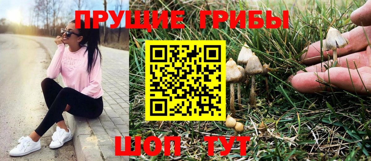 Псилоцибиновые грибы Magic Shrooms Томск